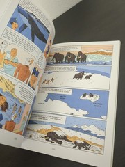 Yuval Noah Harari Lot – Sapiens Homo Deus Graphic Novel Jared Diamond Guns Germs