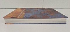 She-Oak And Sunlight Australian Impressionism 2022 Hardcover