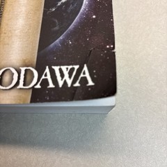Remnant : Rescue of the Elect by Brian Godawa (2016, Trade Paperback)