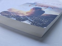 Tragic by Devney Perry 2018 Paperback Book Lark Cove Series