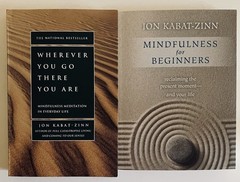 Jon Kabat-Zinn Books Wherever You Go There You Are & Mindfulness for Beginners