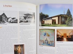 Rockford IL Catholic Diocese Centennial History 1908 – 2008 HC 376 Pages OOP
