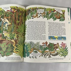 Vintage Hardcover Books Lot of 3 Austrailian Golden Book Sky Hills Earth 1970s