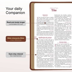 Louis Segond French Bible Medium Print – Compact LSG Bible Marron by SP