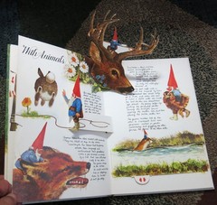 The Pop-Up Book of Gnomes – 1979 Hardcover Rien Poortvliet