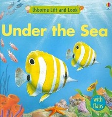 Under the Sea (Usborne Lift and Look Board Books) – Hardcover – GOOD