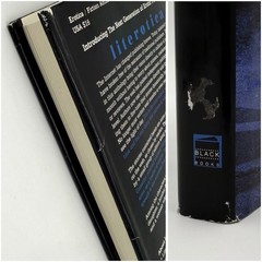 Literotica: The Very Best of literotica.com – edited by Lori Selke (BB, 2002)