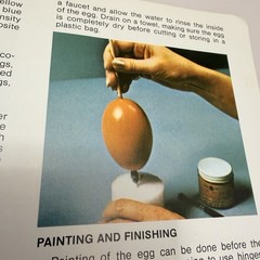 VTG Egg Eggeury You Can Create Exquisite Eggs Instruction Manual Book MCM Decor