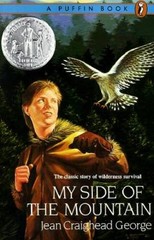 My Side of the Mountain – Paperback By George, Jean Craighead – ACCEPTABLE