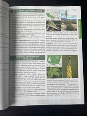 The Forager’s Guide to Wild Foods North American Edition by Nicole Apelian