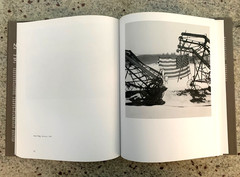 A Family Named Spot by Allan Gurganus: Hard Cover Photo Book 2006