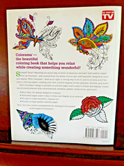Adult Coloring Books Lot 4 Unused Nature Flowers Mandalas Stained Glass Karmin