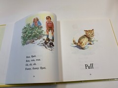 Dick and Jane Ser.: Storybook Treasury of Dick and Jane and Friends by Grosset a