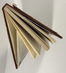 1961 Mushrooms Toadstools in Colour Blandford First Edition Dust Jacket Hvass
