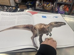 Dinosaurs by Benton, Dr Michael Hardback Book The Fast Free Shipping