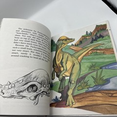 Dinosaur Hardcover Books 1991 Janet Riehecky The Child’s World Series 18 Books