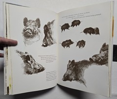 Rien Poortvliet: … und jeder Fuchs hat seinen Bau, Kosmos 2001, HC