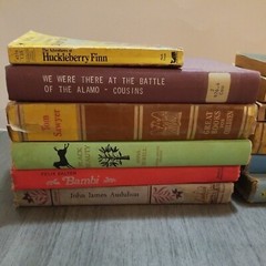 Lot of 12 Mixed Random Children’s Books and Young Adult Novels, Classic Stories