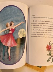 World of Composers Tchaikovsky Greta Cencetti Hardcover Children Book Graphics
