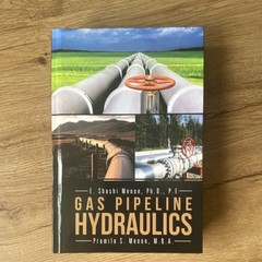 Gas Pipeline Hydraulics by E. Shashi Menon & Pramila S. Menon Hardcover