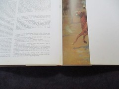 Frederic Remington by Peter Hassrick Western Art HC Coffee Table Book 1973