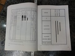 Brazil 1985 Collection of Paleontological Works in Portuguese Many Fossil Photos