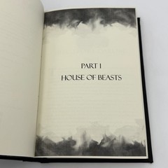 A Court of Mist & Fury Rhysand’s POV – Illyriantremors (Poppy Press, 2017) HC