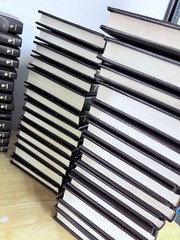 Louis L’Amour Leatherette Hardcover Books (Sold Individually) Read description!!
