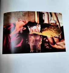 NEW RARE 1st ED 88/100 SLIPCASE CLAMSHELL BOX SIGNED Sheila Metzner Color BOOK