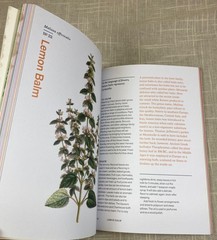 Herbal Handbook Cookbook Recipes Tinctures Teas Balms Botanical Garden Art