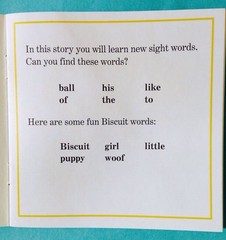 Biscuit More Phonics Fun Childrens Books I Can Read Beginning Readers Lot 12