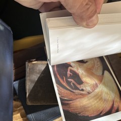 A SUSAN SEDDON BOULET BESTIARY: A BOOK OF POSTCARDS