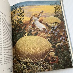Album of Prehistoric Animals by Tom McGowen (1975) Vintage, Dinosaurs, Education