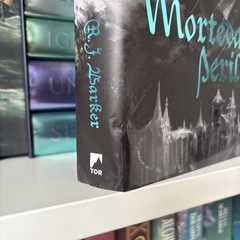 Mortedant’s Peril by R.J. Barker Fairyloot Epic Fantasy Exclusive Ed DAMAGED