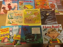 Lot of 20 Scholastic MIX Classroom Teacher Reading Large Kids RANDOM Books K-5
