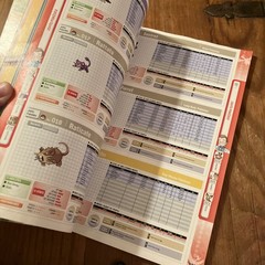 Pokemon HeartGold & SoulSilver Versions Strategy Guide Johto – No Poster