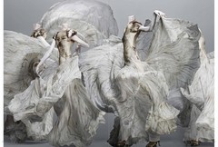 Alexander McQueen: Savage Beauty Hardcover Illustrated Edition