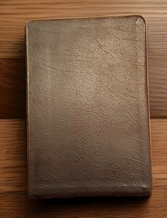 Tim LaHaye Prophecy Study Bible NKJV Genuine Leather Burgundy Vintage 2001