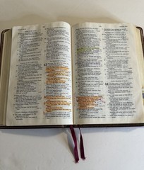 Christian Life Bible Burgundy Genuine Leather Leather NKJV
