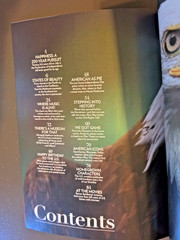 America at 250! Magazine – Special Edition by PEOPLE – Celebration of Treasures