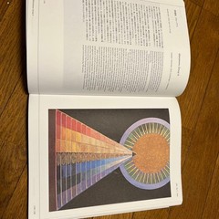 Hilma af Klint Exhibition Catalog Tokyo National Museum Softcover 312 pages