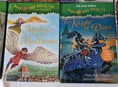 14 MAGIC TREE HOUSE chapter Books Dragon Ghosts Magicians Osborne HARDCOVERS C8