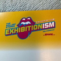 The Rolling Stones Exhibitionism Book 272 Pages Near New Condition