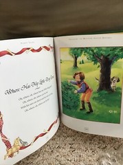 Treasury Of Mother Goose Rhymes Hardcover 1998 & 381 pages! Book