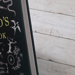 The Wizard’s Cookbook Magical Recipes Hardcover Skyhorse Cookbook