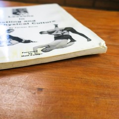 Lessons in Wrestling and Physical Culture Farmer Burns Matt Furey 1999