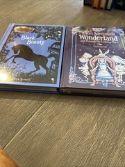 Lot of 5 Barnes & Noble Bonded Leather Children’s Classics 2 Factory Sealed New