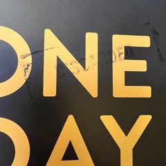 One Day at Disney : Meet the People Who Make the Magic Across the Globe by Bruce