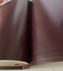 ESV COMPACT THINLINE EDITION. PREMIUM BONDED LEATHER. SLIDE TAB. NEW IN BOX.