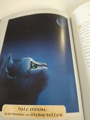 Warriors The Ultimate Guide By Erin Hunter Hardback 221 Pages Full Color Art